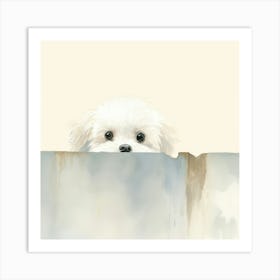 White Dog Peeking Over Wall Art Print