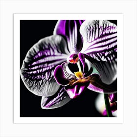 Orchid Flower, Brilliant Color Imagery, Lighting Art Print