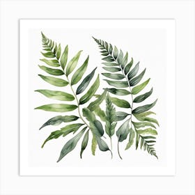 Green fern 7 Art Print