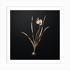 Gold Botanical Gladiolus Lineatus on Wrought Iron Black n.1210 Art Print