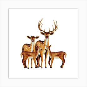 Family Of Deer Art Print