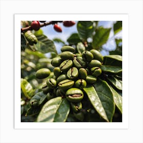 Coffee Beans On The Tree 7 Art Print