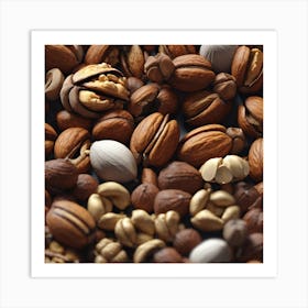 Nuts And Seeds 12 Art Print