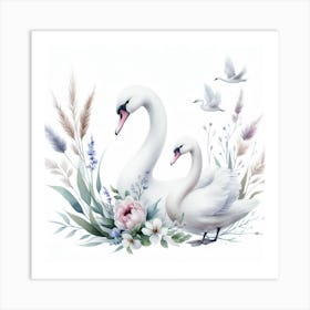 Pair of swans 1 Art Print