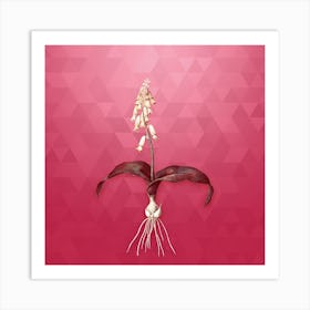 Vintage Watsonia Botanical in Gold on Viva Magenta n.0688 Art Print