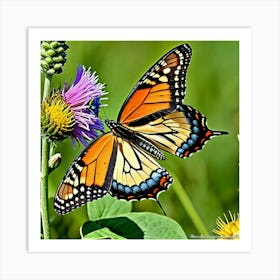 Butterflies Insect Lepidoptera Wings Antenna Colorful Flutter Nectar Pollen Metamorphosis (12) Art Print