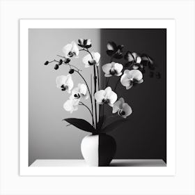 Black And White Orchids Art Print