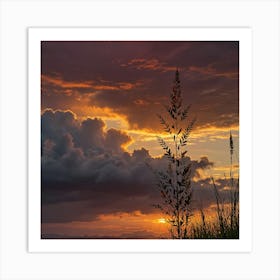 Sunset In The Grass Art Print