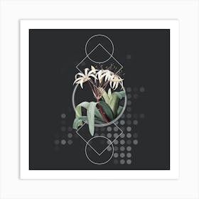 Vintage Crinum Erubescens Botanical with Geometric Line Motif and Dot Pattern n.0247 Art Print