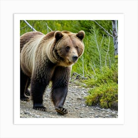 Grizzly Bear In The Wild Art Print