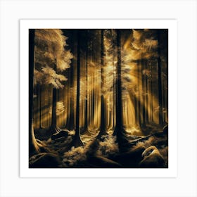 Rays Of Light In The Forest 1 Art Print