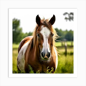 Horse Ranch Pony Animal Farm Nature Pet Farm Animal Summer Grass Head Mammal Green Mare (5) Art Print