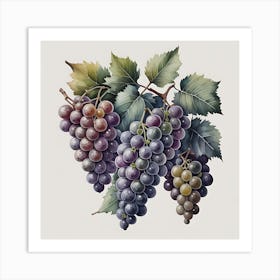 Luscious Vineyard Art Print