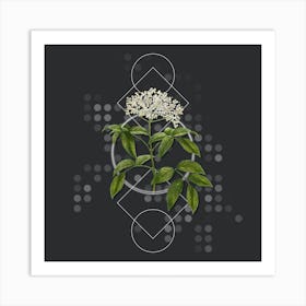 Vintage Elderberry Flowering Plant Botanical with Geometric Line Motif and Dot Pattern n.0123 Art Print