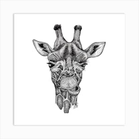 Giraffe Square Art Print