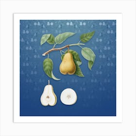 Vintage Pear Botanical on Bahama Blue Pattern Art Print