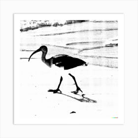 The Lonely Ibis Art Print