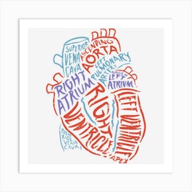 Heart Specialist Anatomy Doctor Medical Biology Art Print