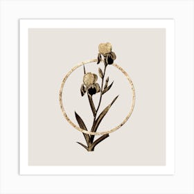 Gold Ring Elder Scented Iris Glitter Botanical Illustration Art Print