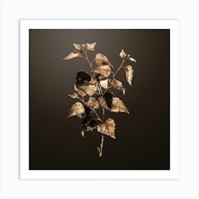 Gold Botanical Silver Birch on Chocolate Brown n.4215 Art Print