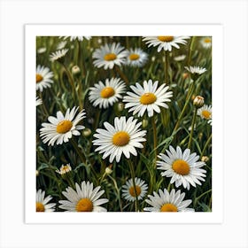 Daisy Field 1 Art Print