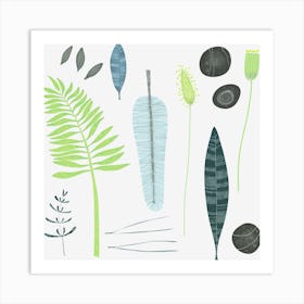 Ferns And Leaves Art Print