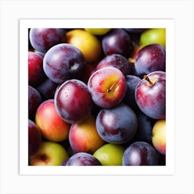 Plums 2 Art Print