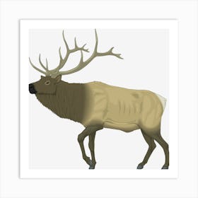 Elk 48465 1280 Art Print