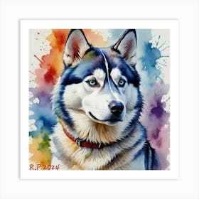 Siberian Husky Art Print