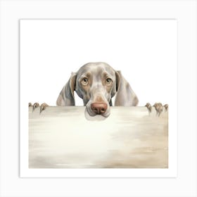 Weimaraner Dog 4 Art Print