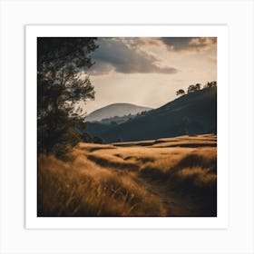 Sunset In A Field Art Print