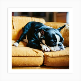 Boston Terrier Sleeping On The Couch Art Print