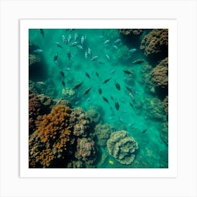 Great Barrier reef 70 Art Print