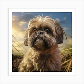 Shih Tzu 1 Art Print