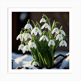 Snowdrops Art Print