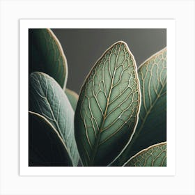 Eucalyptus Leaves Art Print