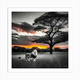 Lion At Sunset 18 Art Print