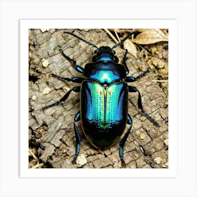 Beetle 13 Art Print