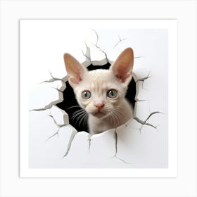 Cat Through A Hole Art Print