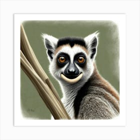 Lemur 15 Art Print