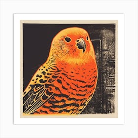 Retro Bird Lithograph Budgerigar 1 Art Print