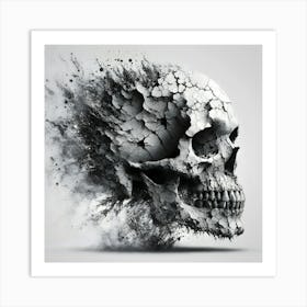 Skull With Dust Art Print