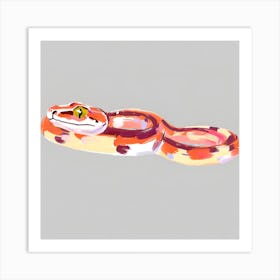 Red Tailed Boa Snake 07 Art Print