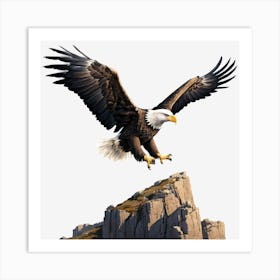 Bald Eagle 12 Art Print