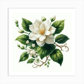 White flowers 6 Art Print