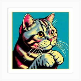 Scottish Shorthair Cat Art Print