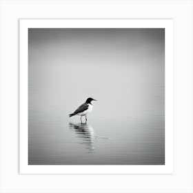 Gull963 Art Print