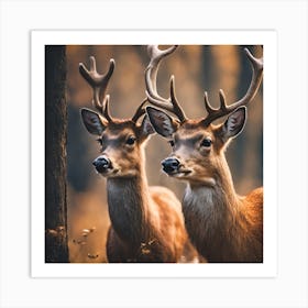 Deer In The Forest Art Print