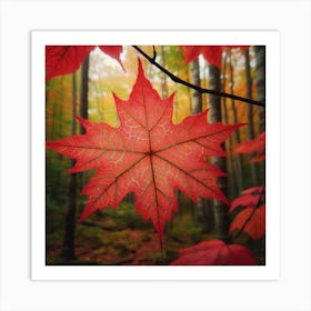 A red maple leaf 4 Art Print