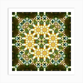 Kaleidoscope 1 Art Print